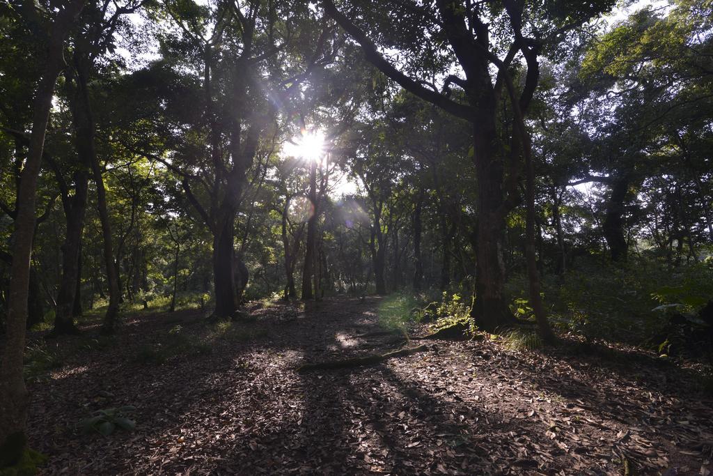 Gokarna Forest Resort Katmandu Dış mekan fotoğraf