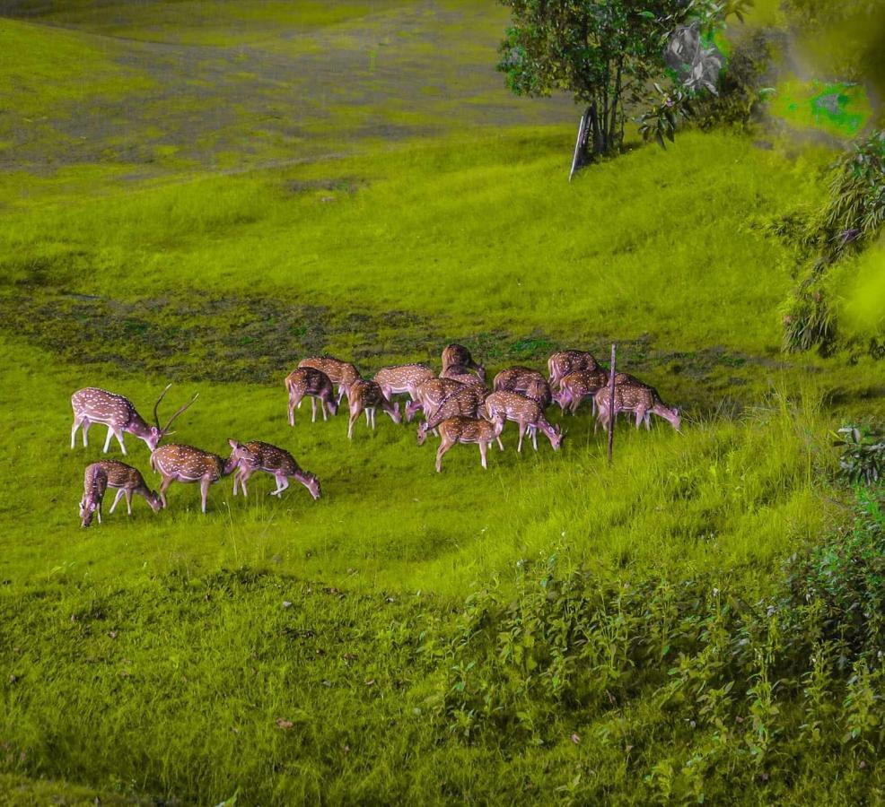 Gokarna Forest Resort Katmandu Dış mekan fotoğraf
